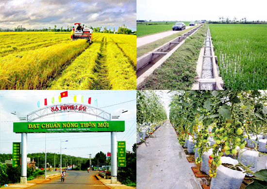 Huy động mọi nguồn lực xã hội cùng tham gia đầu tư, hỗ trợ xây dựng nông thôn mới.