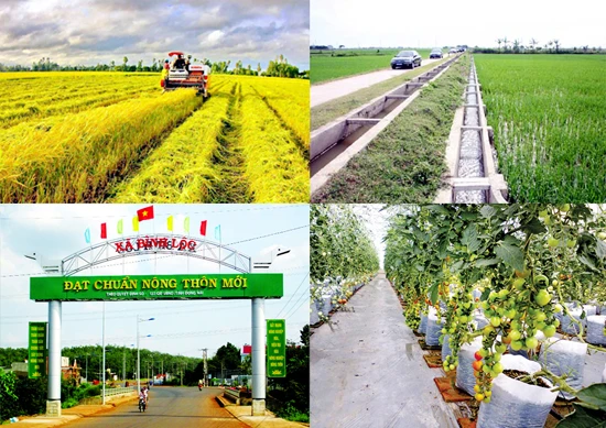 Huy động mọi nguồn lực xã hội cùng tham gia đầu tư, hỗ trợ xây dựng nông thôn mới.