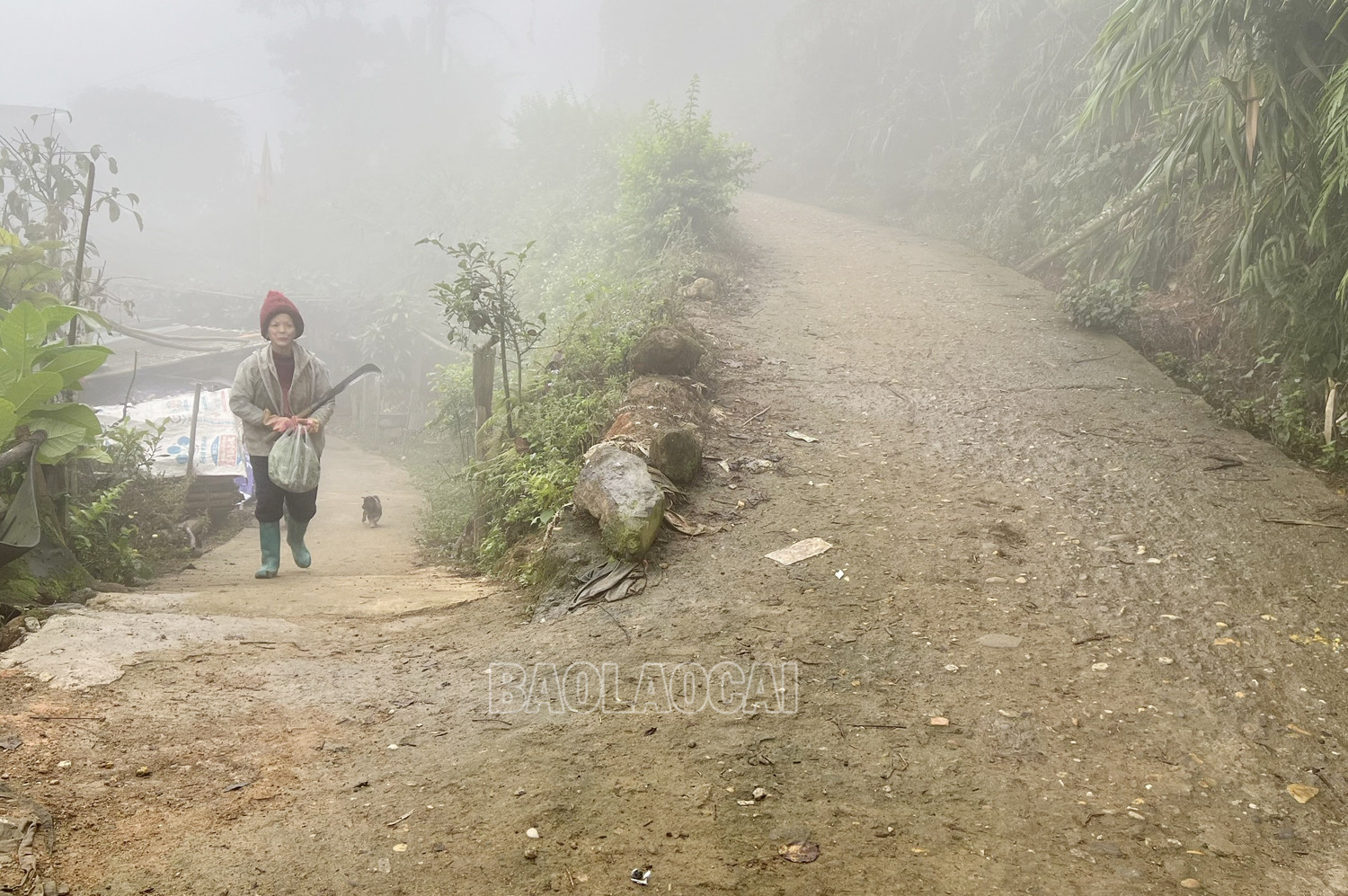 Đường giao thông được đổ bê tông, giúp người dân đi lại thuận lợi. Đường giao thông được đổ bê tông, giúp người dân đi lại thuận lợi.