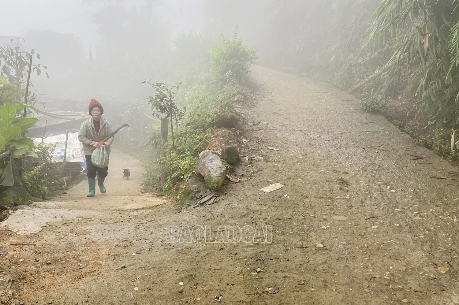 Đường giao thông được đổ bê tông, giúp người dân đi lại thuận lợi.
