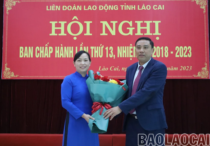 Bầu bổ sung chức danh Phó Chủ tịch Liên đoàn Lao động tỉnh ảnh 6