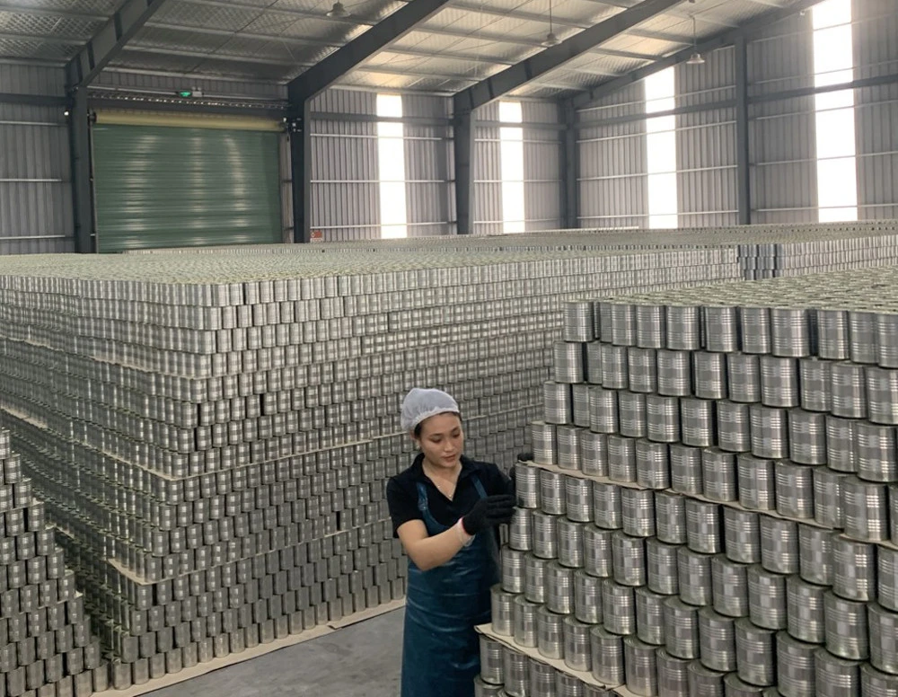 Nông dân "thủ phủ" dứa như "ngồi trên đống lửa" ảnh 6