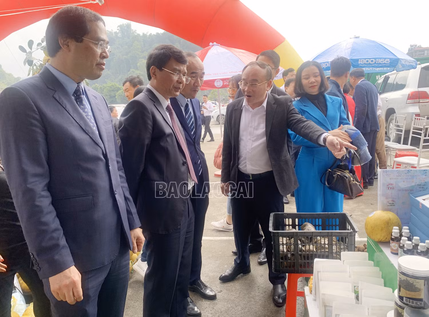 Các đồng chí lãnh đạo tỉnh tham quan gian hàng trưng bày sản phẩm OCOP đặc trưng của các địa phương ảnh 6