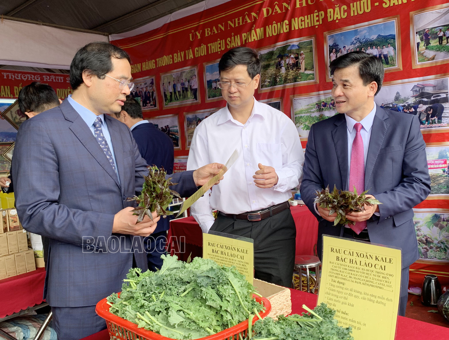 Các đồng chí lãnh đạo tỉnh tham quan gian hàng trưng bày sản phẩm OCOP đặc trưng của các địa phương ảnh 3