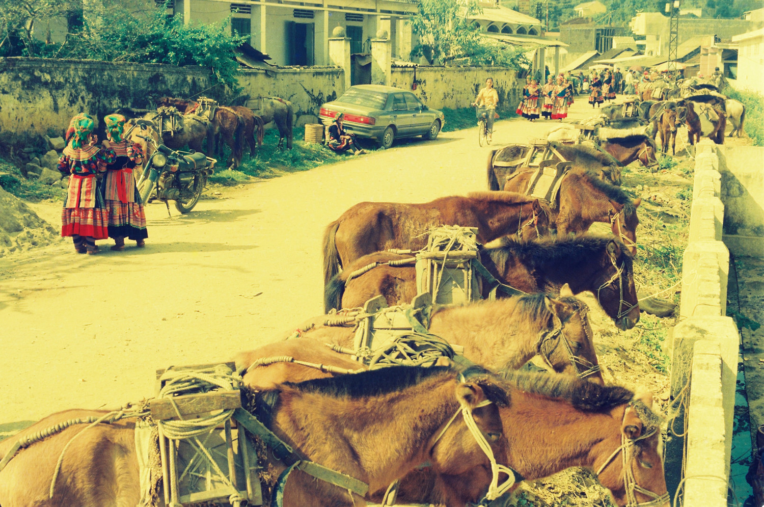Chợ phiên vùng cao Bắc Hà xưa đẹp như vườn hoa di động ảnh 10 Chợ phiên vùng cao Bắc Hà xưa đẹp như vườn hoa di động ảnh 10