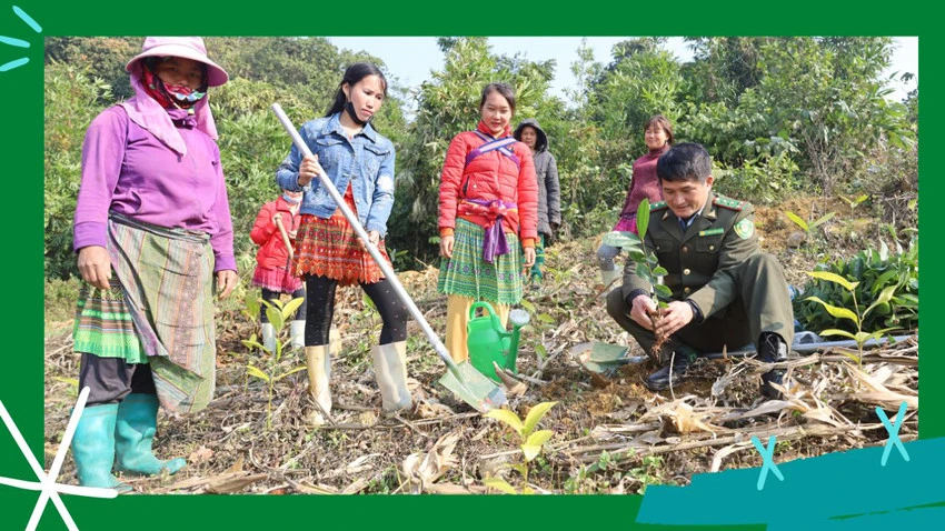 Cán bộ kiểm lâm xã Cốc Ly, huyện Bắc Hà hướng dẫn người dân kỹ thuật trồng rừng. Cán bộ kiểm lâm xã Cốc Ly, huyện Bắc Hà hướng dẫn người dân kỹ thuật trồng rừng.