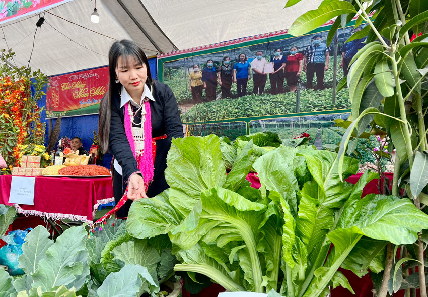 Xã Đồng Tuyển: Tưng bừng Hội Xuân Quý Mão 2023 ảnh 5 Xã Đồng Tuyển: Tưng bừng Hội Xuân Quý Mão 2023 ảnh 5