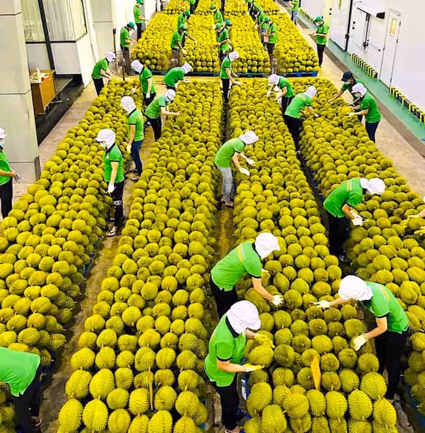 <a title="Báo Quân đội nhân dân | Tin tức quân đội, quốc phòng | Bảo vệ Tổ quốc" style="text-align:center;" href="https://www.qdnd.vn"><img src="/images/bannerv2.png" class="vllogo"></a>