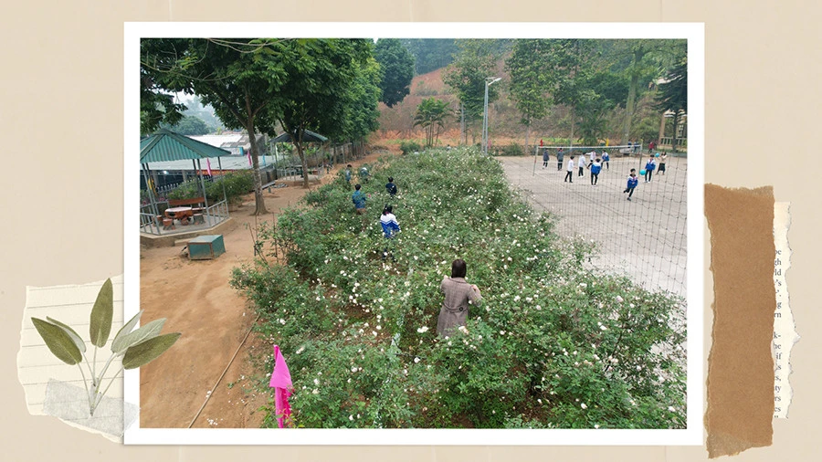 Dự án nhỏ - ý nghĩa lớn ảnh 2