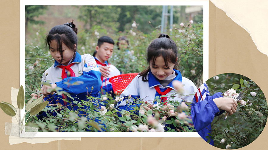 Dự án nhỏ - ý nghĩa lớn ảnh 3 Dự án nhỏ - ý nghĩa lớn ảnh 3