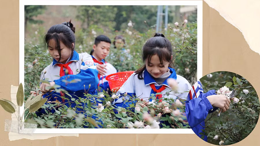 Dự án nhỏ - ý nghĩa lớn ảnh 3 Dự án nhỏ - ý nghĩa lớn ảnh 3