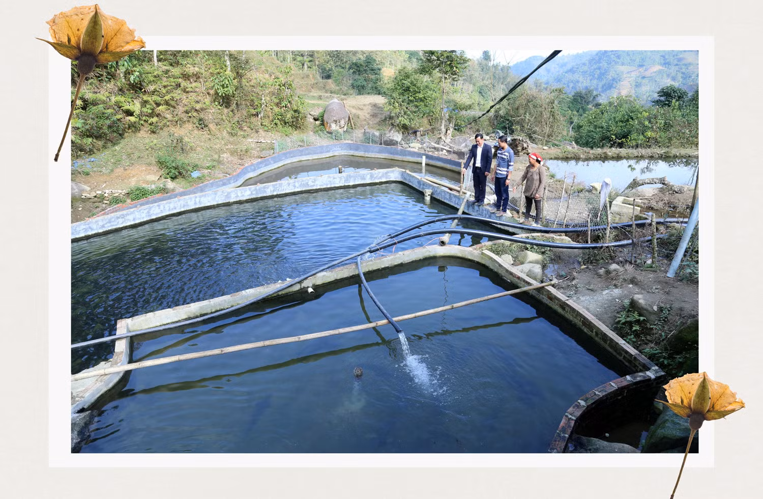 Một điểm nuôi cá tầm ở điểm cao nhất thôn Trát 2.