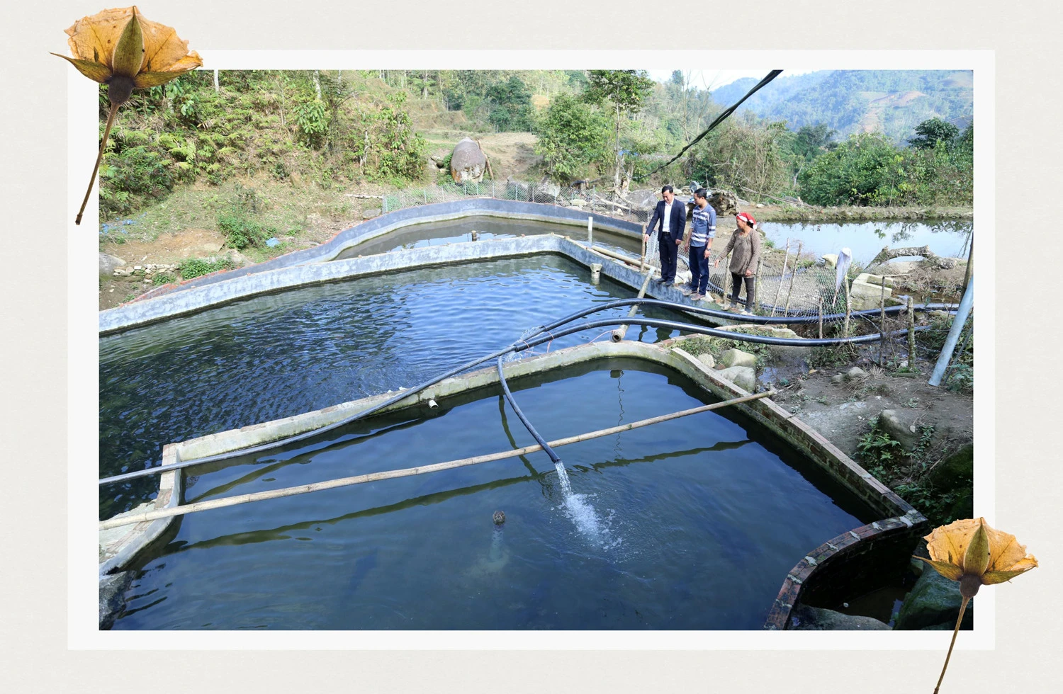 Một điểm nuôi cá tầm ở điểm cao nhất thôn Trát 2.