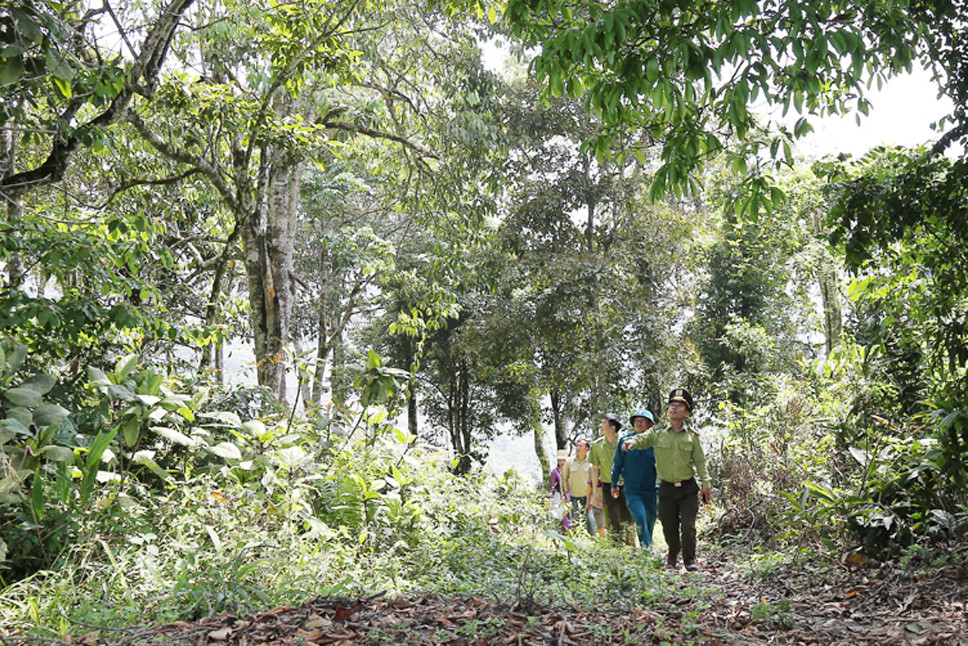 Tuần tra, bảo vệ rừng ở xã Tả Ngài Chồ. Tuần tra, bảo vệ rừng ở xã Tả Ngài Chồ.