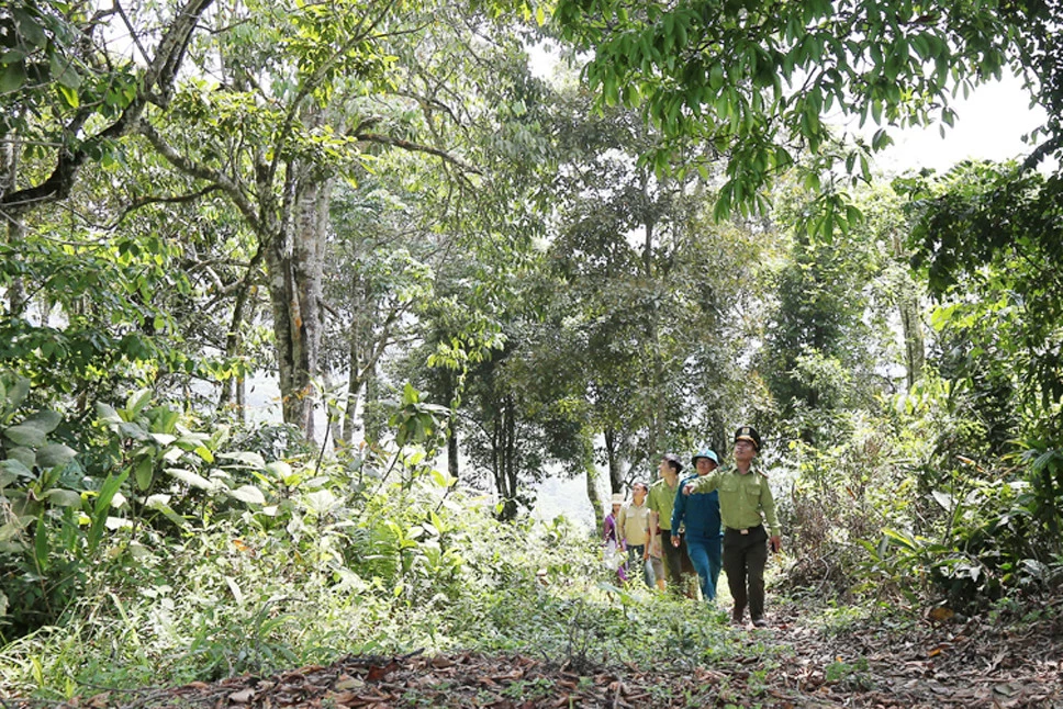 Tuần tra, bảo vệ rừng ở xã Tả Ngài Chồ.
