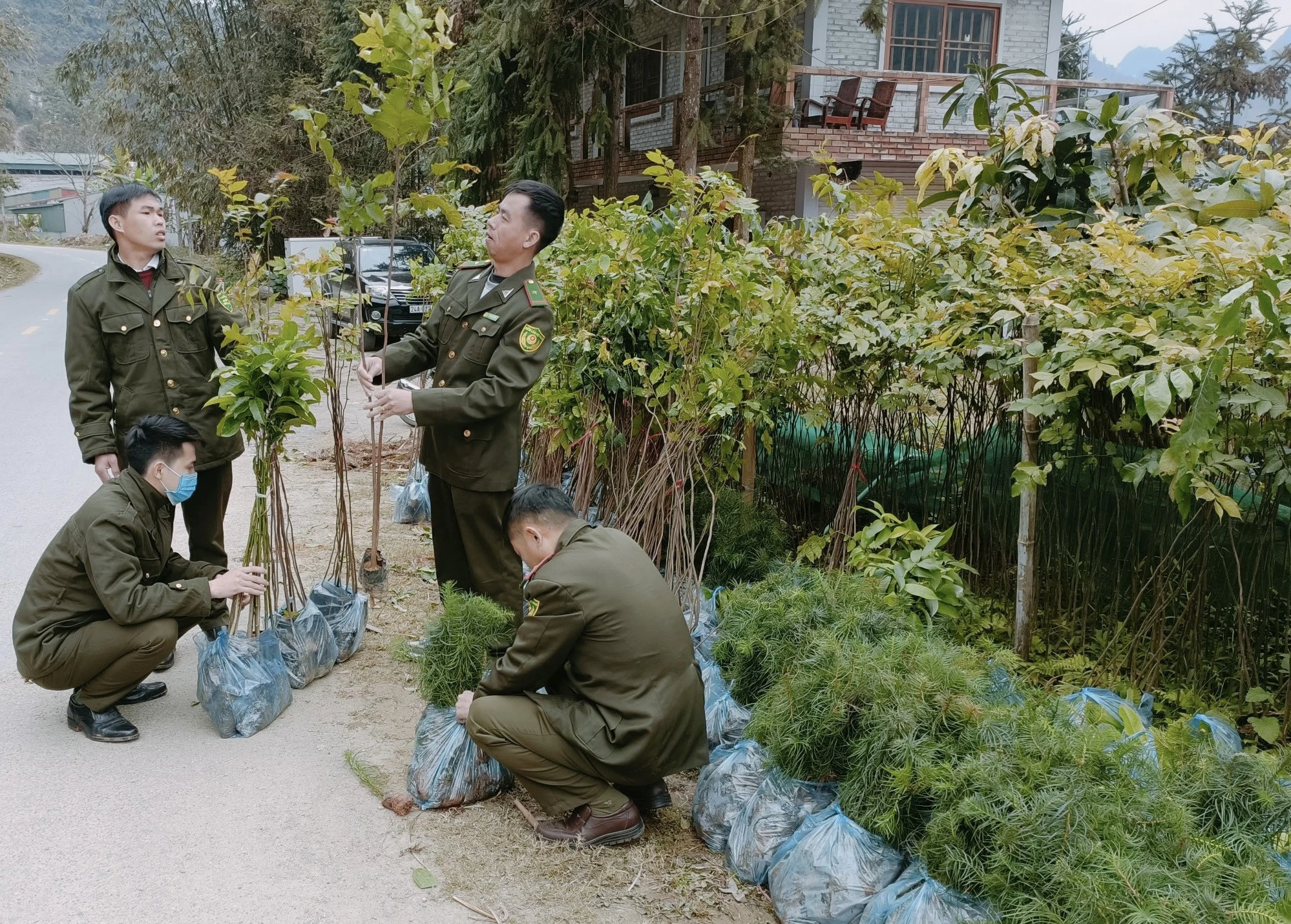 Kiểm tra cây giống, trồng rừng vụ xuân.