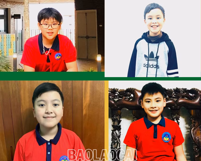 Thành phố Lào Cai có 10 học sinh tiểu học đủ điều kiện dự thi Olympic STEM quốc tế ảnh 3