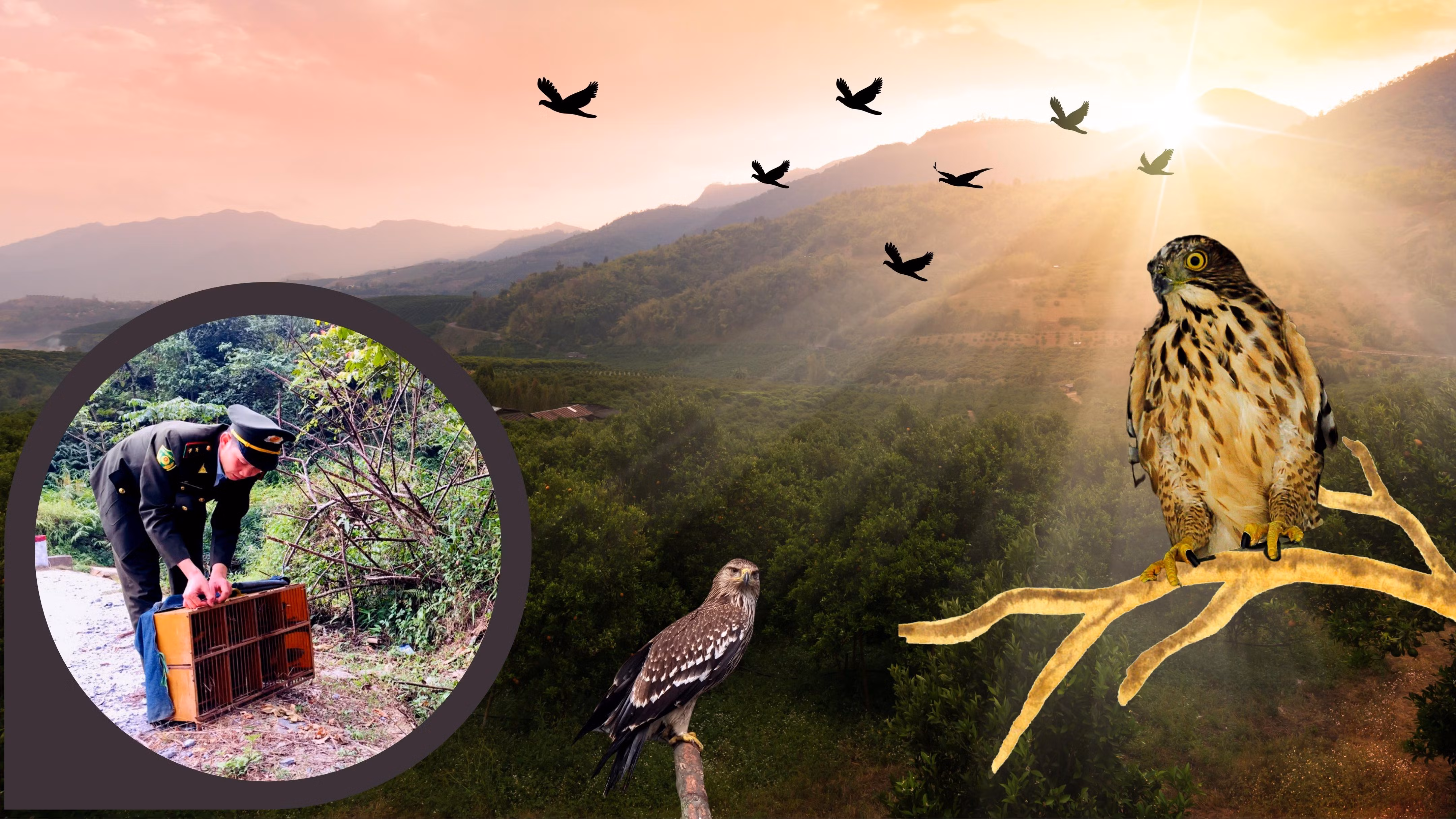 “Ân nhân” của động vật hoang dã ảnh 3 “Ân nhân” của động vật hoang dã ảnh 3