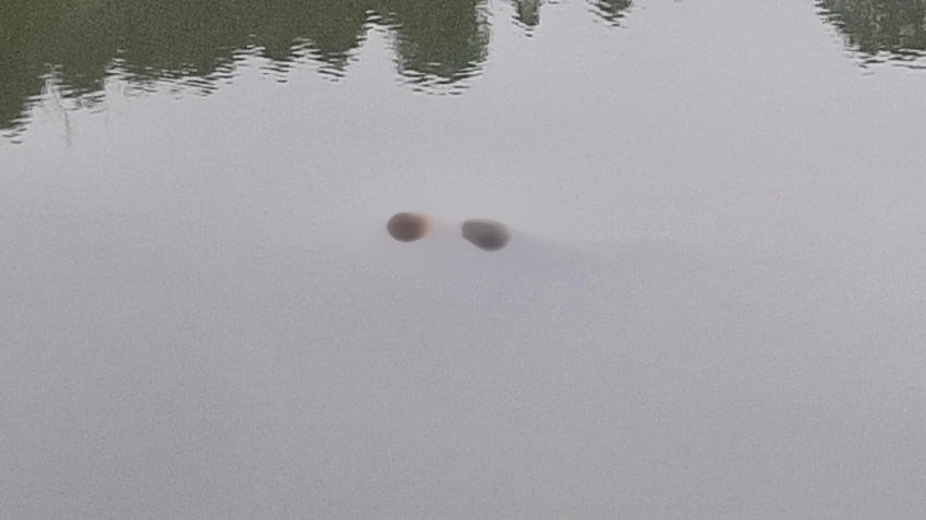 Nơi phát hiện thi thể nạn nhân.