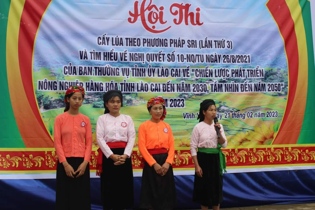 Bảo Yên: Tổ chức hội thi cấy lúa theo phương pháp canh tác cải tiến ảnh 3