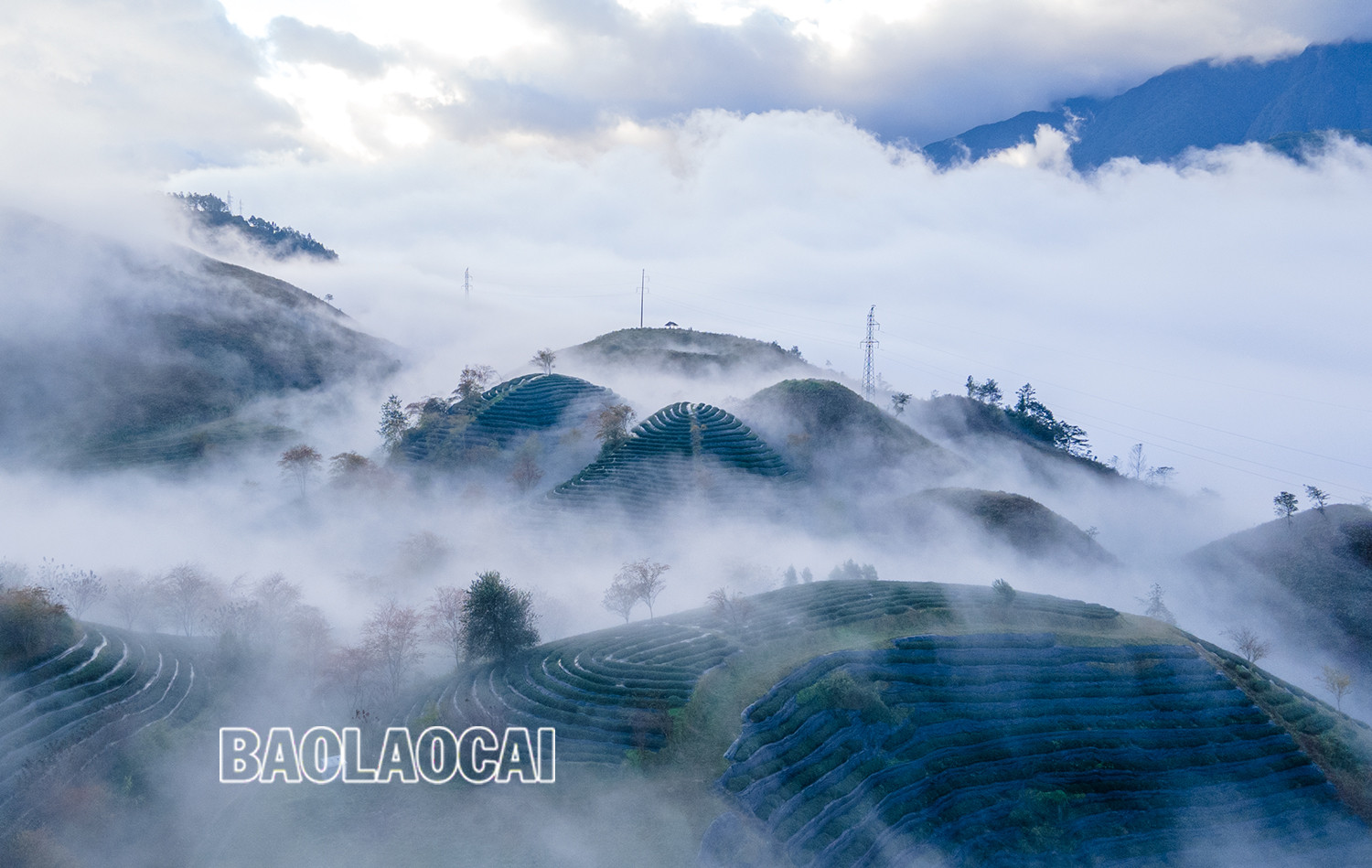 Huyền ảo Sa Pa dưới làn mây trắng ảnh 2 Huyền ảo Sa Pa dưới làn mây trắng ảnh 2