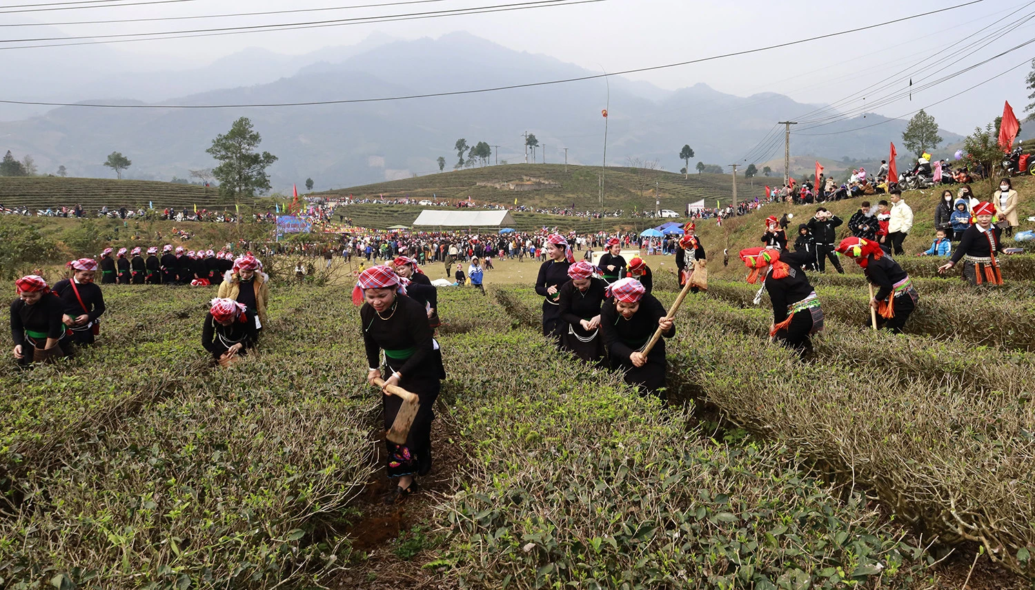 Người dân các thôn thi chăm sóc nương chè.