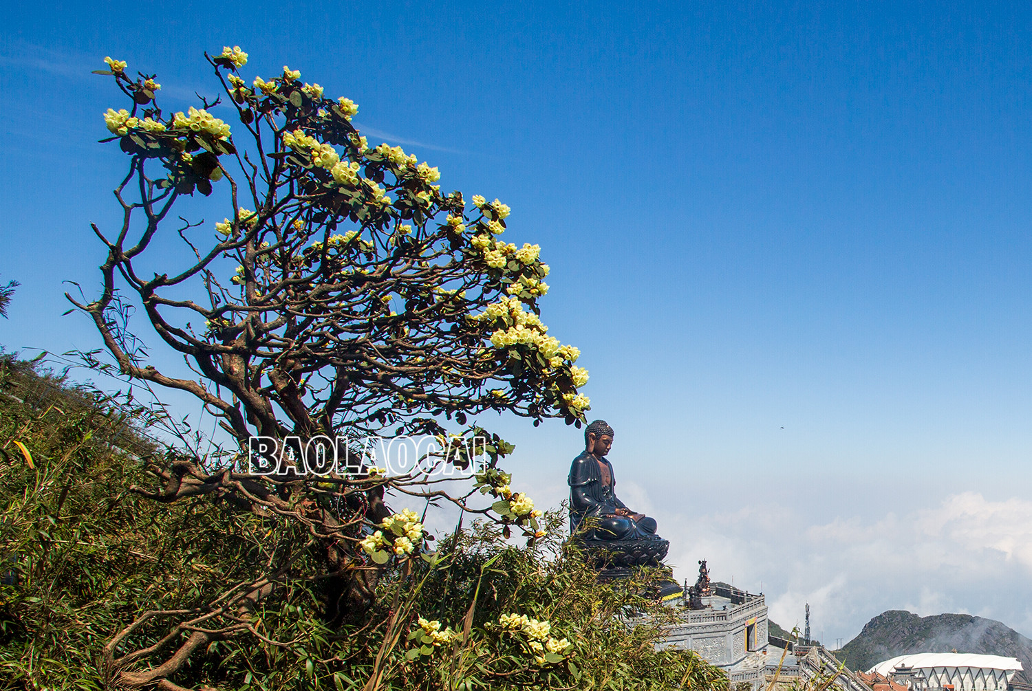 “Khoảnh khắc” đẹp trên Fansipan ảnh 2