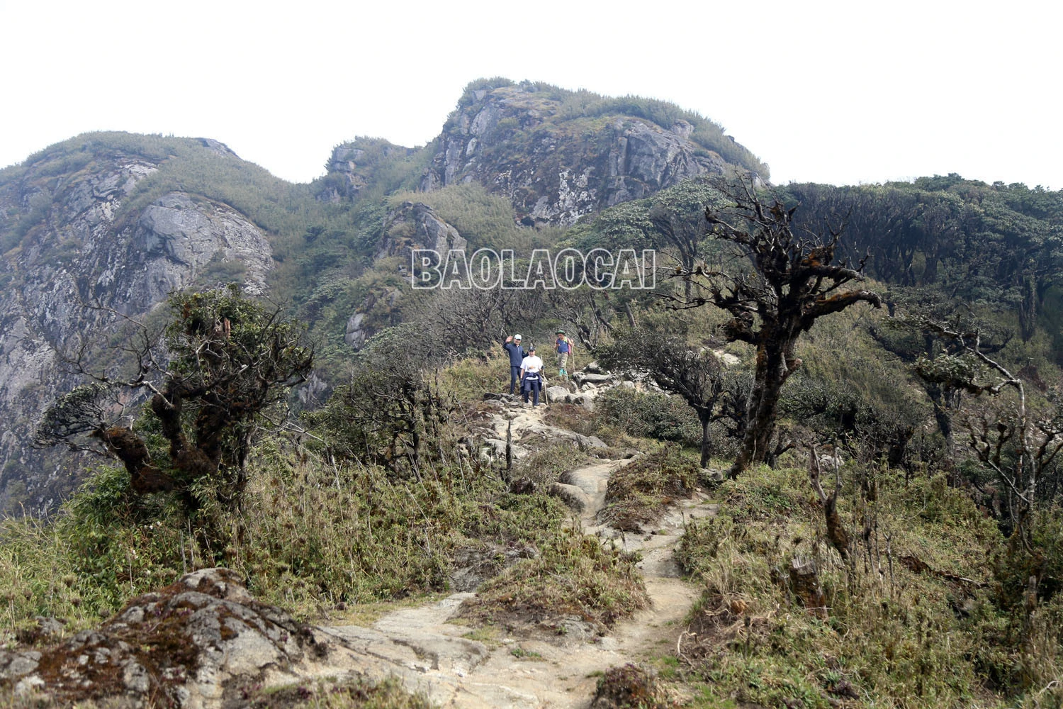 Chinh phục đỉnh Ky Quan San ảnh 7 Chinh phục đỉnh Ky Quan San ảnh 7