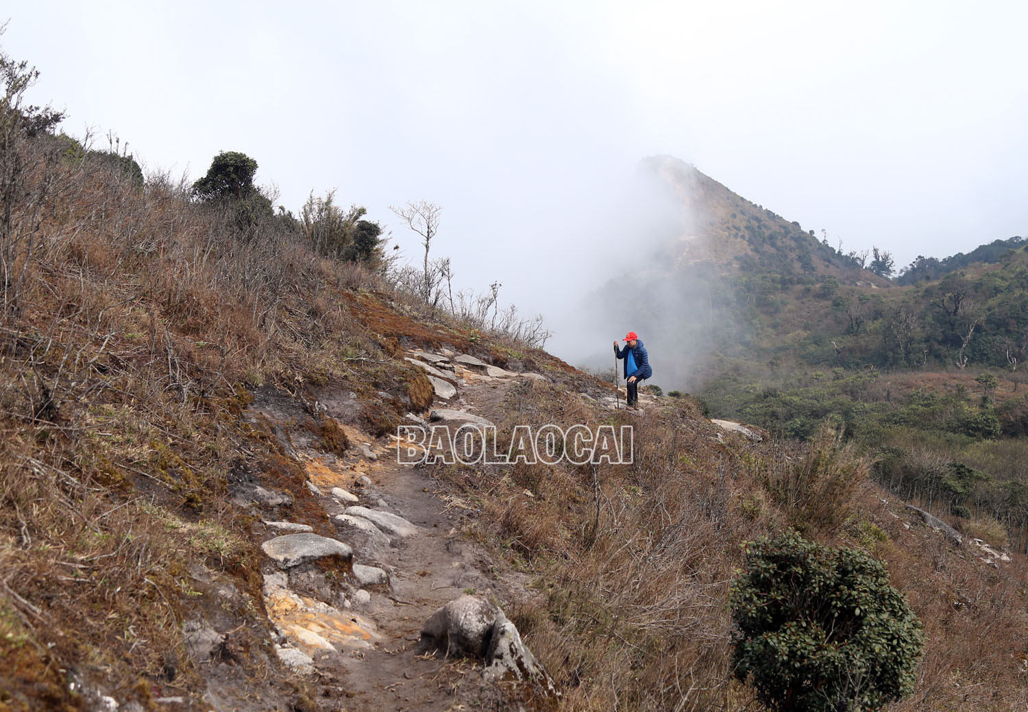 Chinh phục đỉnh Ky Quan San ảnh 6