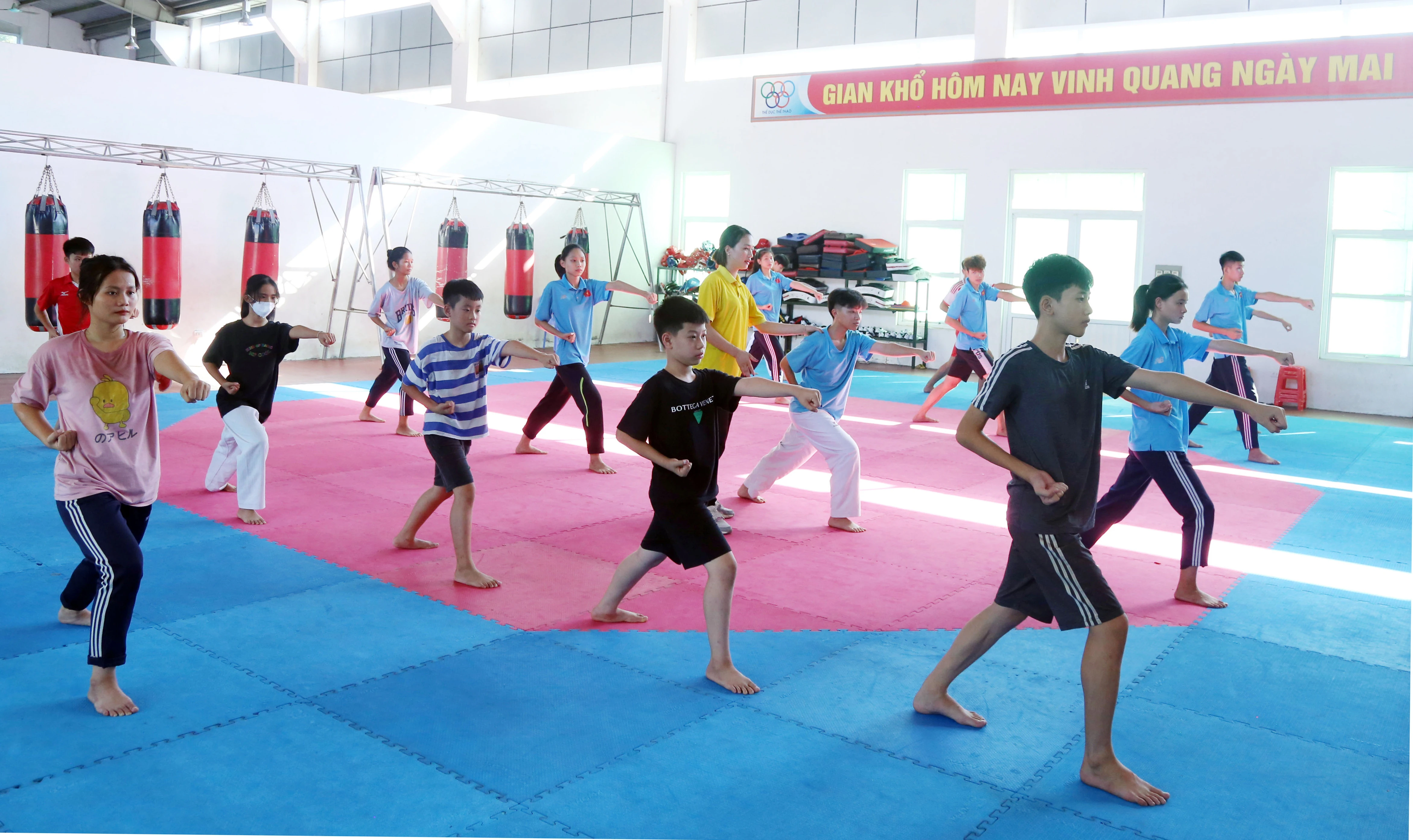 Luyện tập taekwondo tại Trung tâm Huấn luyện và Thi đấu thể dục, thể thao tỉnh.