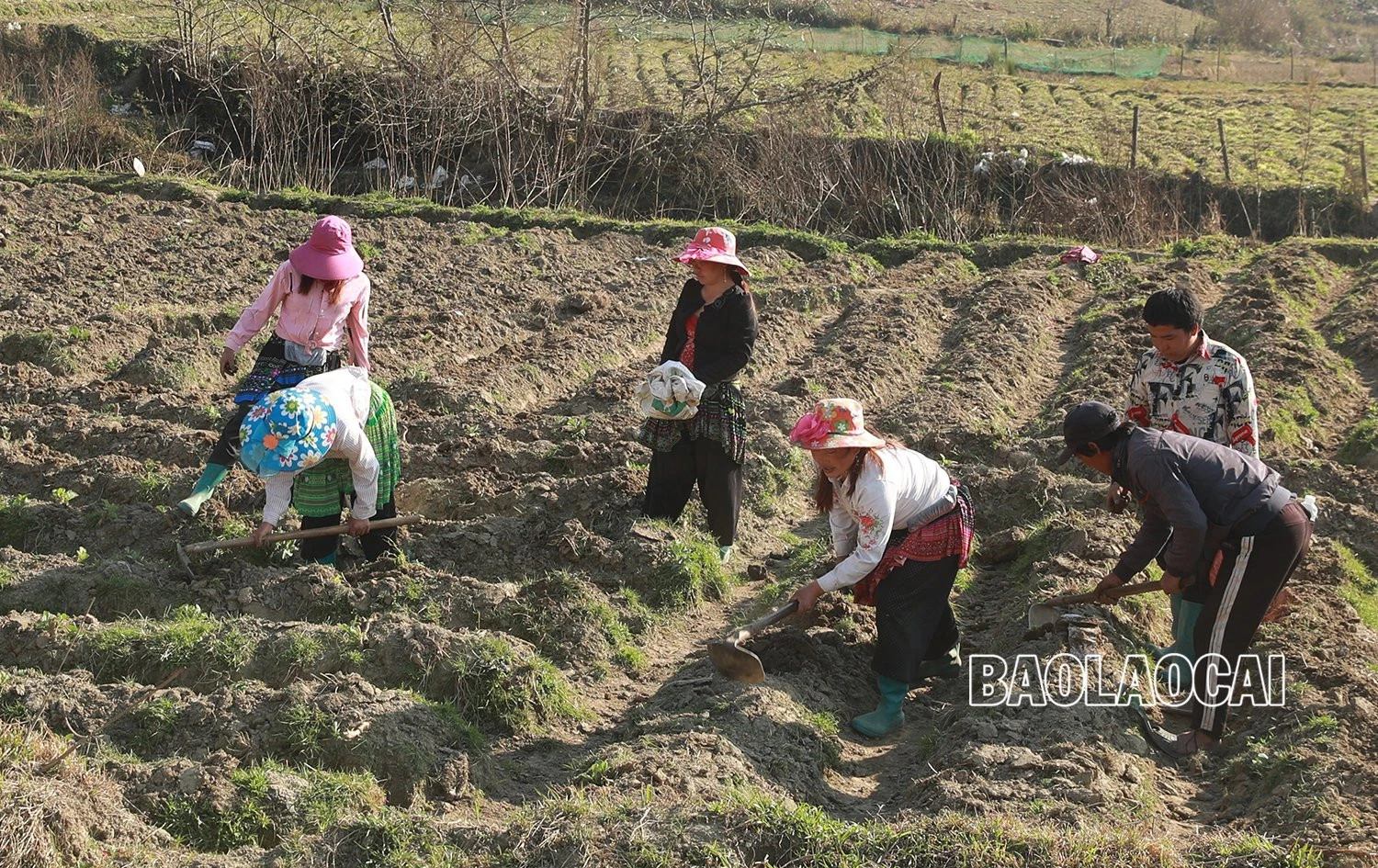 Mùa gieo hạt ở vùng cao ảnh 2