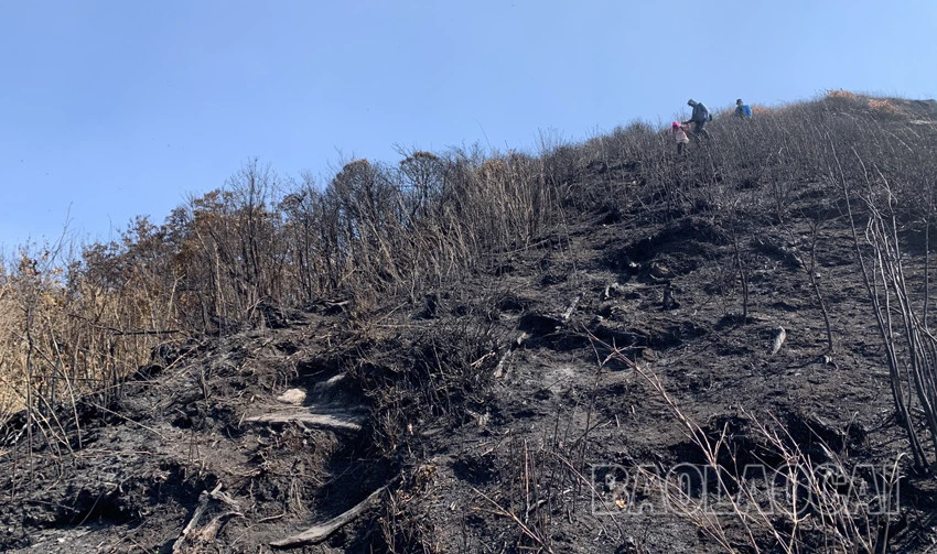 Mùa gieo hạt ở vùng cao ảnh 8