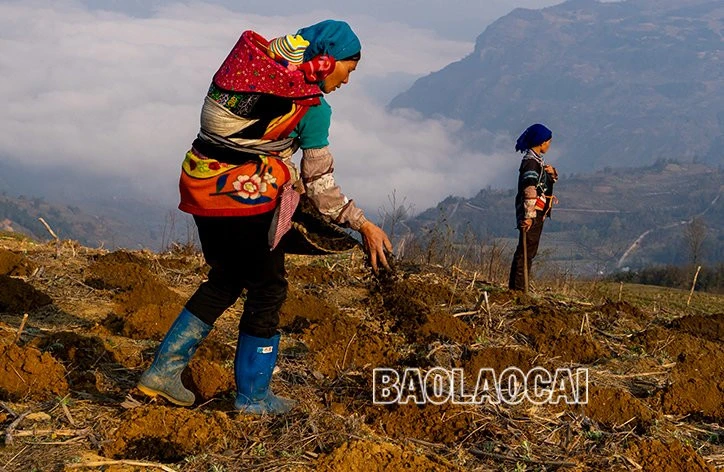 Với đặc thù vùng cao nên hầu hết đất canh tác của người dân đều là nương dốc. Những khu đất thuận lợi về nguồn nước đã được khai phá làm ruộng bậc thang bởi vậy hầu hết các diện tích trồng ngô, hoa màu đều phụ thuộc rất lớn vào thời tiết. Bà con phải lựa chọn các giống cây trồng phù hợp, thích nghi với khí hậu, đất đai. Sau những cơn mưa cuối xuân, đất có độ ẩm vừa phải là điều kiện thuận lợi để người dân xuống giống. Canh tác ở đất dốc gặp nhiều khó khăn do đất dễ bị xói mòn, rửa trôi nên khâu làm đất cũng rất quan trọng. Các hộ gia đình thường đổi công cho nhau để có thêm lao động. Bà con được hướng dẫn đốt nương đúng quy cách, phòng chống cháy rừng. Những hạt giống được gieo xuống mang theo hy vọng mưa thuận gió hòa để có một vụ mùa bội thu.