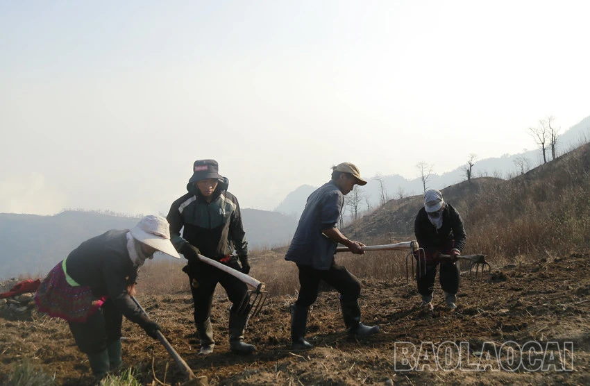 Mùa gieo hạt ở vùng cao ảnh 5