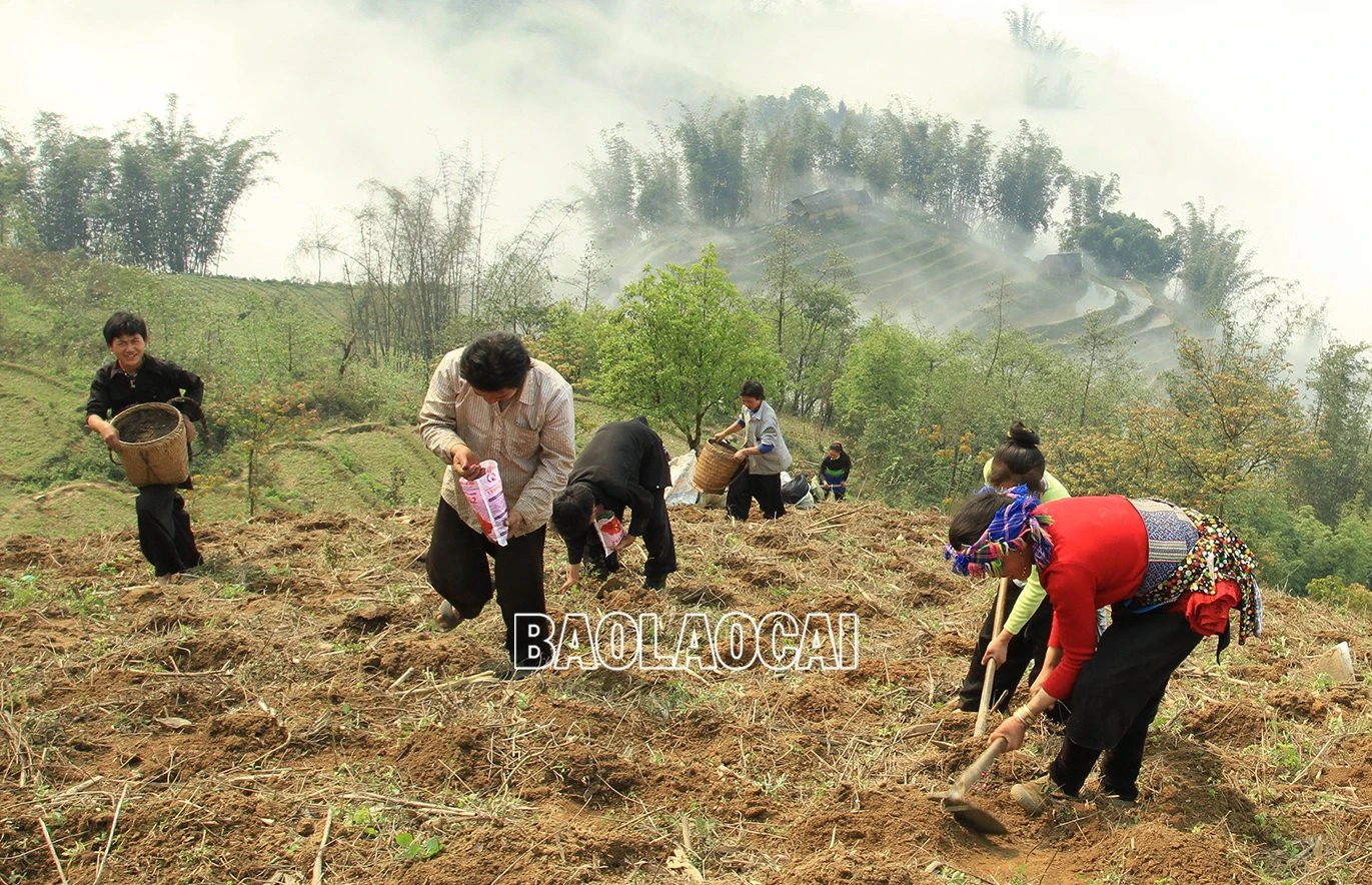 Mùa gieo hạt ở vùng cao ảnh 3