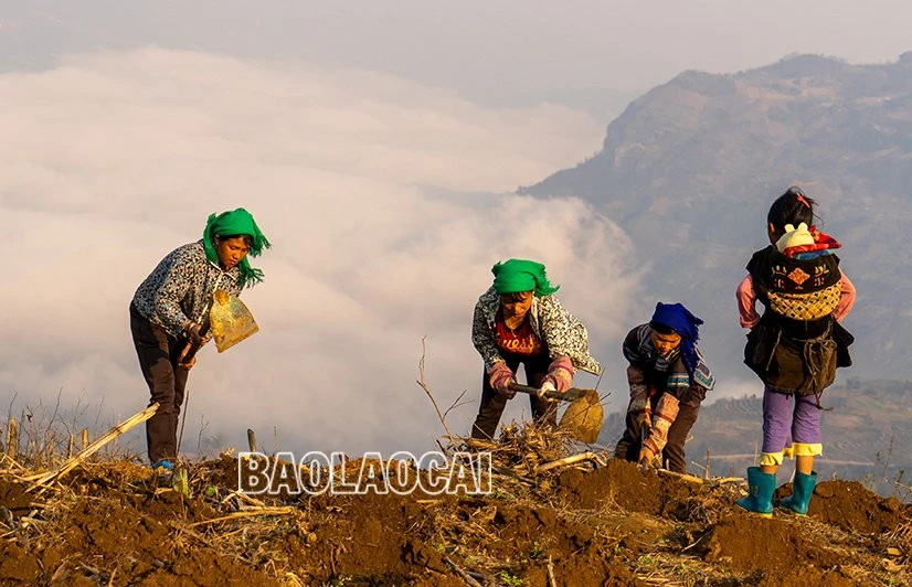 Mùa gieo hạt ở vùng cao ảnh 1