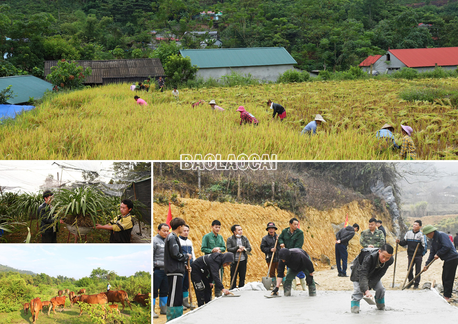 Không thể để xuất hiện tâm lý “đi ngược” ảnh 3