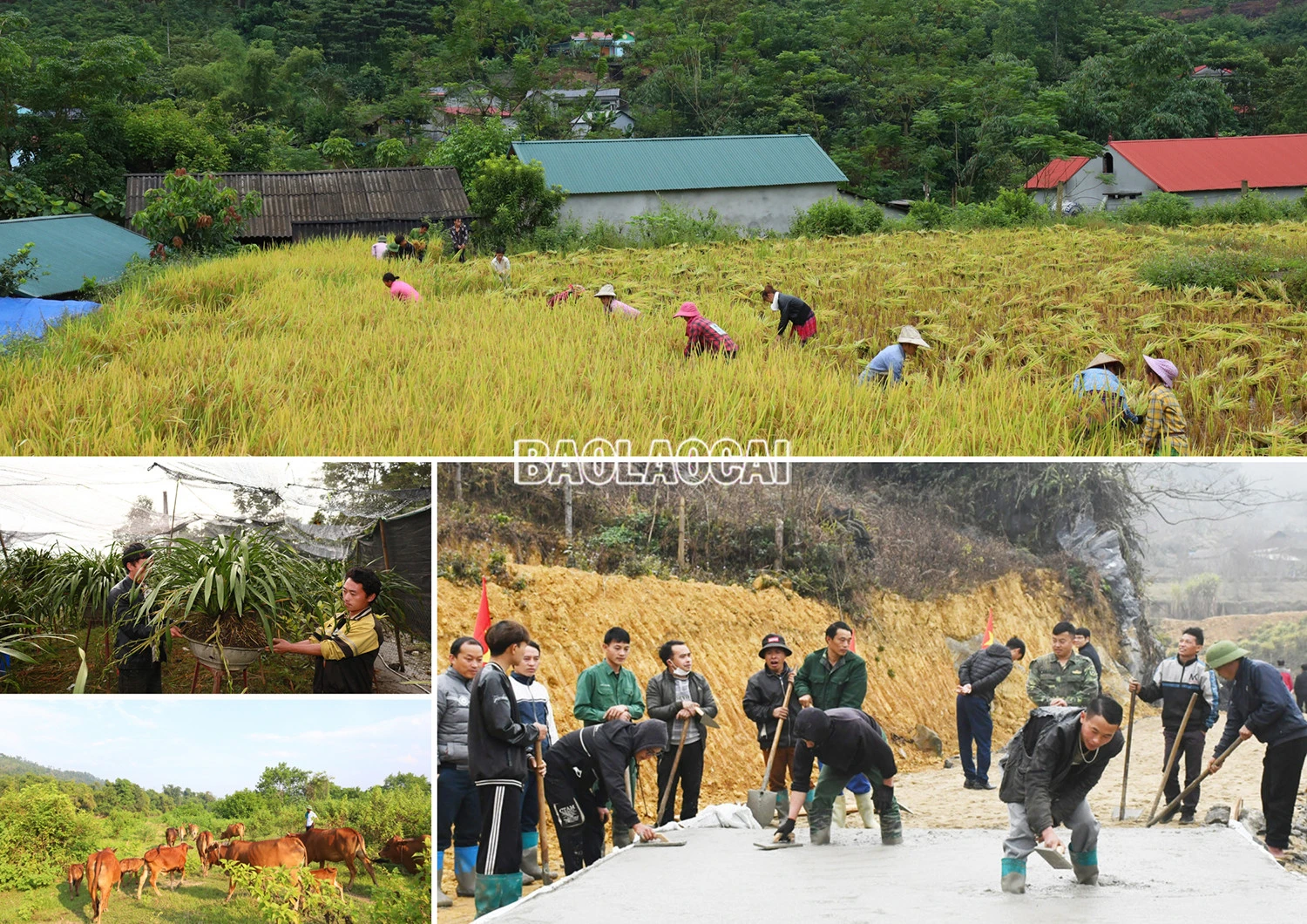 Không thể để xuất hiện tâm lý “đi ngược” ảnh 3