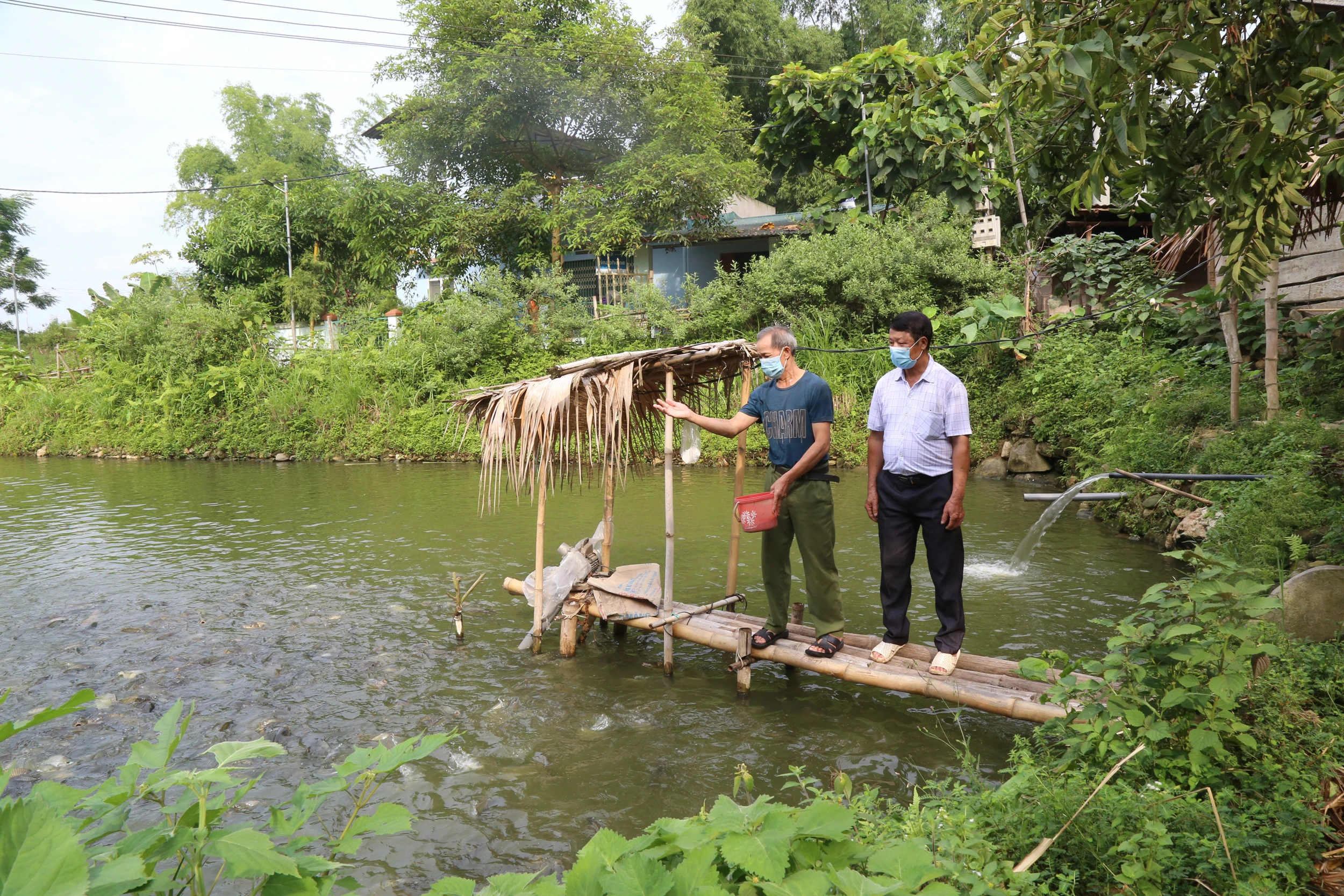 Người dân vùng cao của thành phố Lào Cai đổi mới tư duy, phương thức sản xuất phát triển kinh tế, làm giàu.