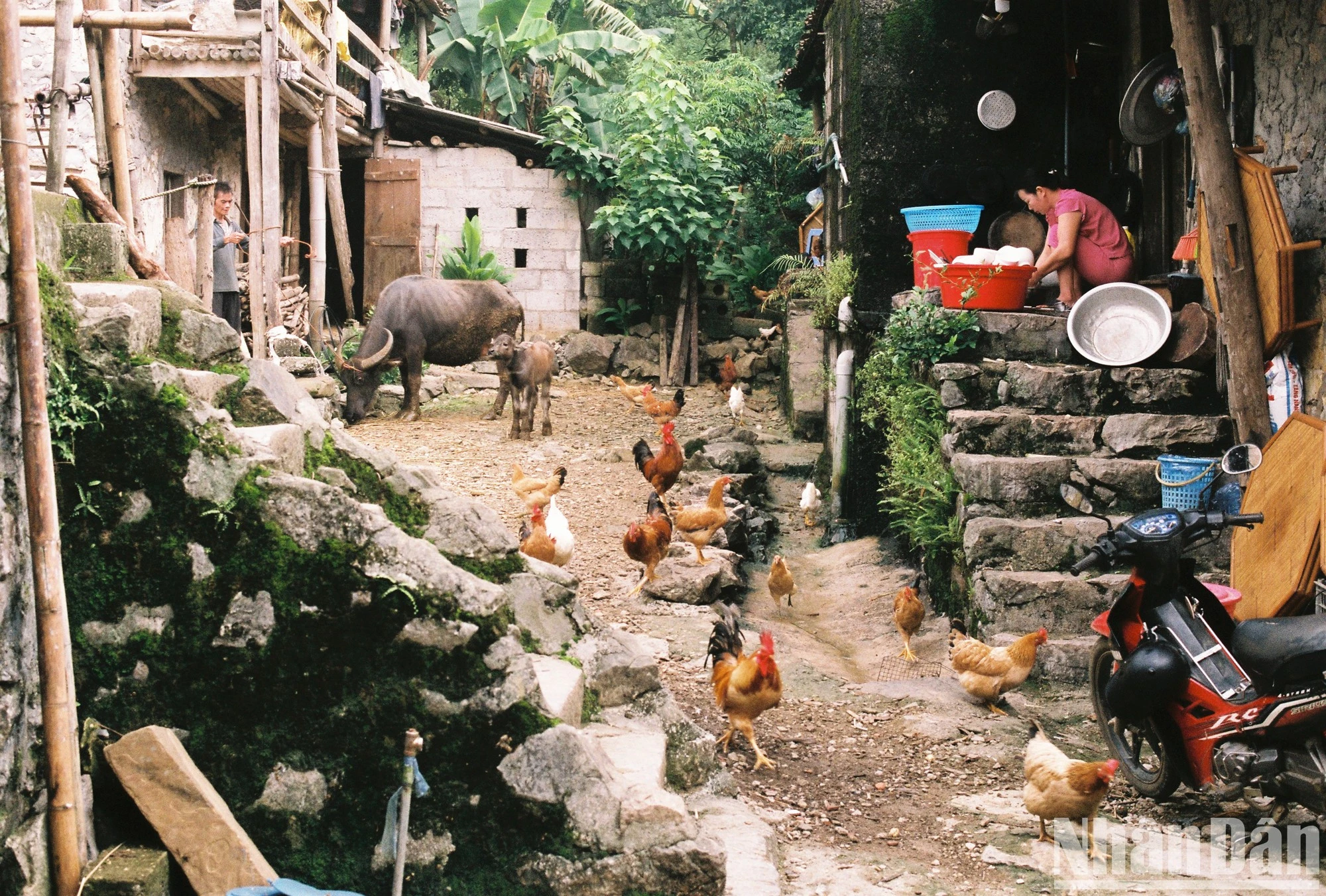 Độc đáo làng đá cổ Khuổi Ky ảnh 1