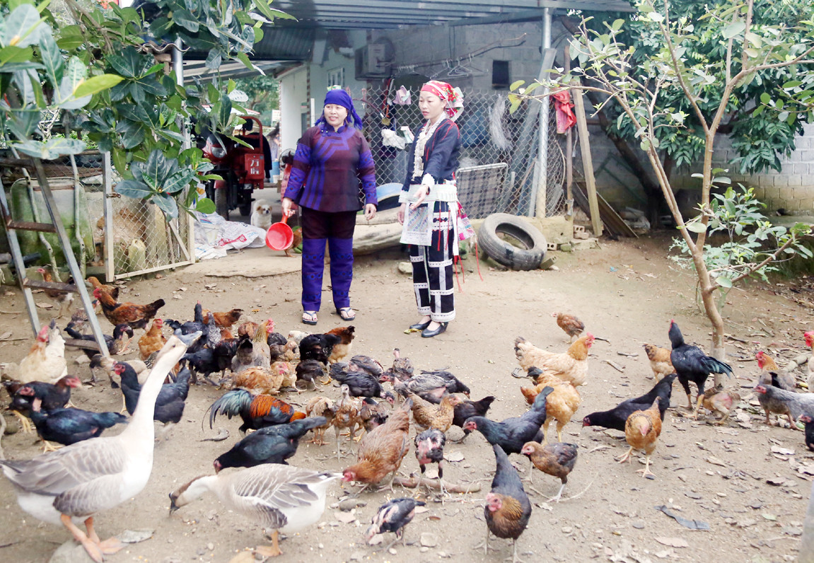 Chị Phàn Thị Lệ Thủy (bên phải ảnh) vận động bà con chuyển đổi cơ cấu cây trồng, vật nuôi.