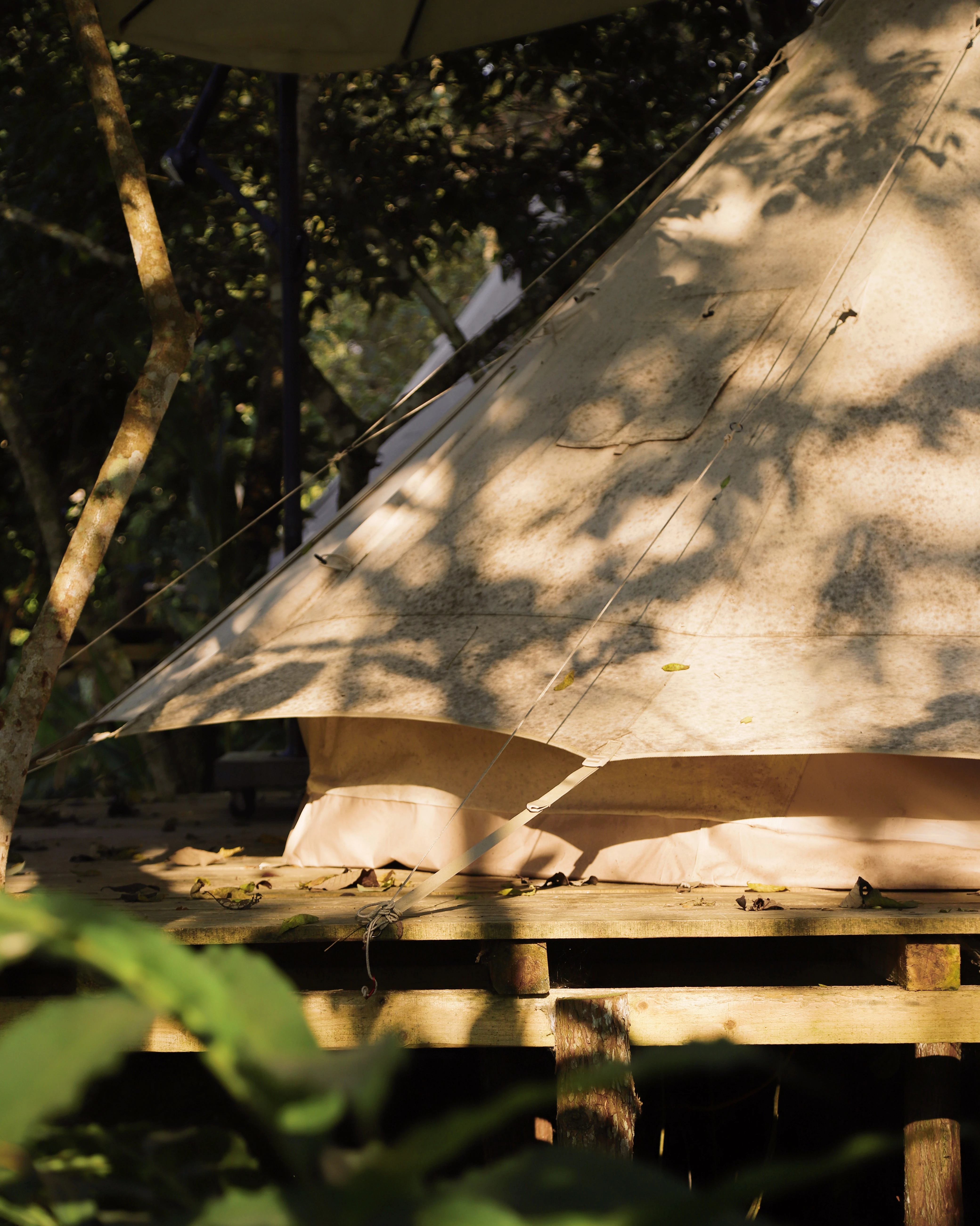 Glamping - xu hướng cắm trại sang trọng ảnh 4