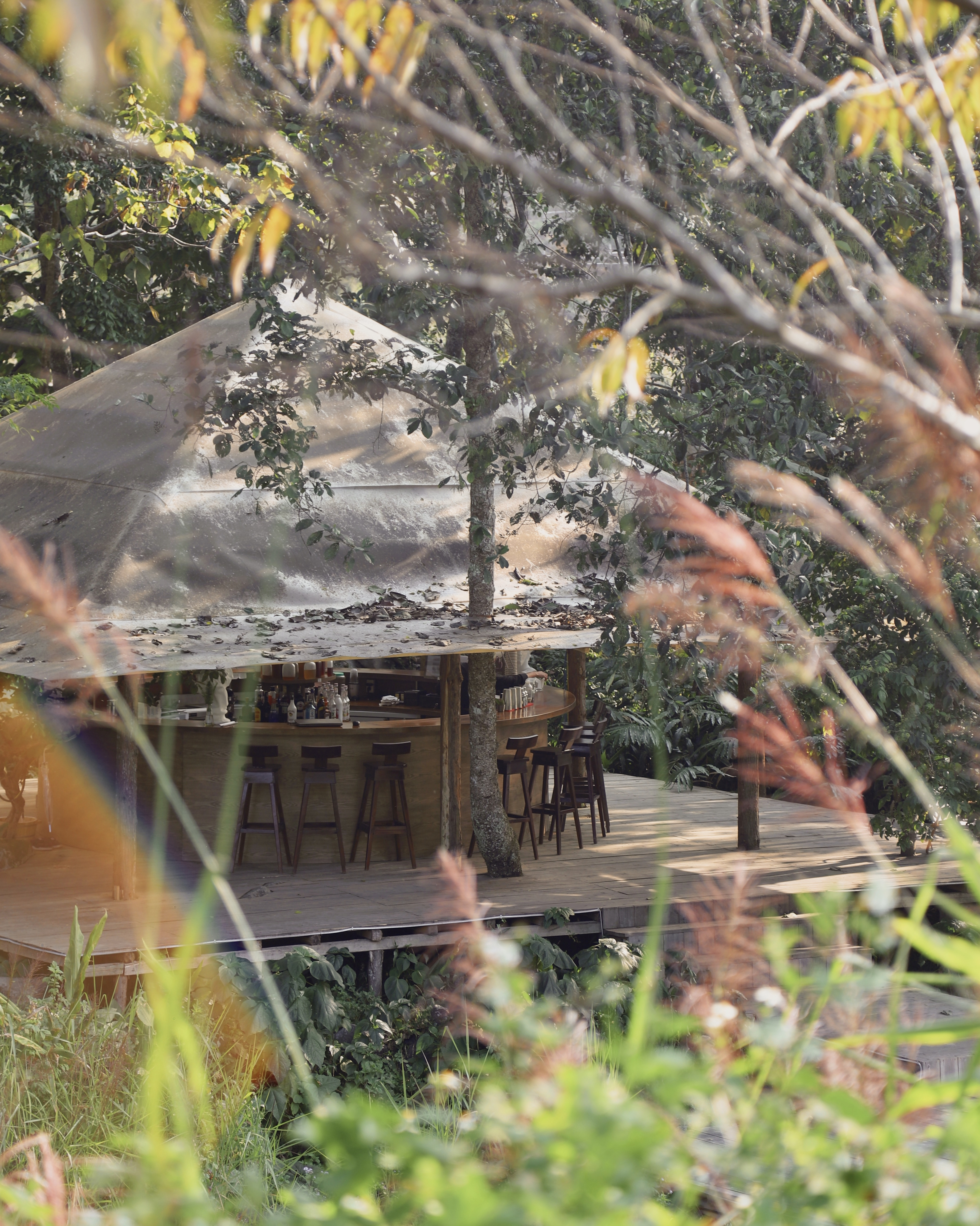 Glamping - xu hướng cắm trại sang trọng ảnh 3