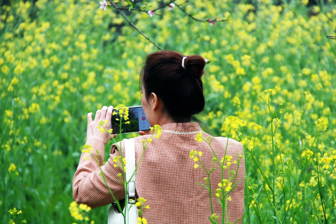 Mộc Châu mùa hoa thương nhớ ảnh 3