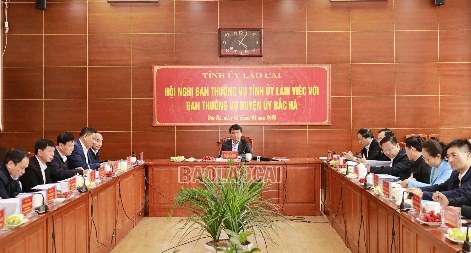 Bí thư Tỉnh ủy Đặng Xuân Phong: Bắc Hà cần tạo được đột phá trong phát triển ảnh 1