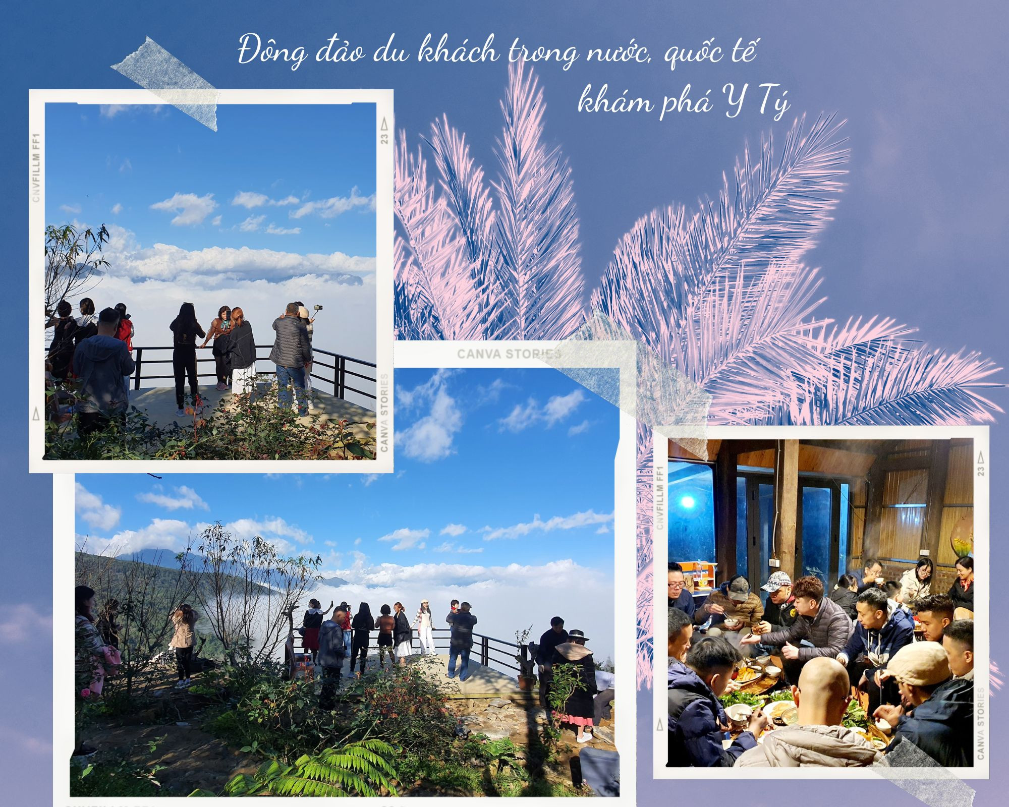 Giấc mơ vùng đất mờ sương ảnh 1