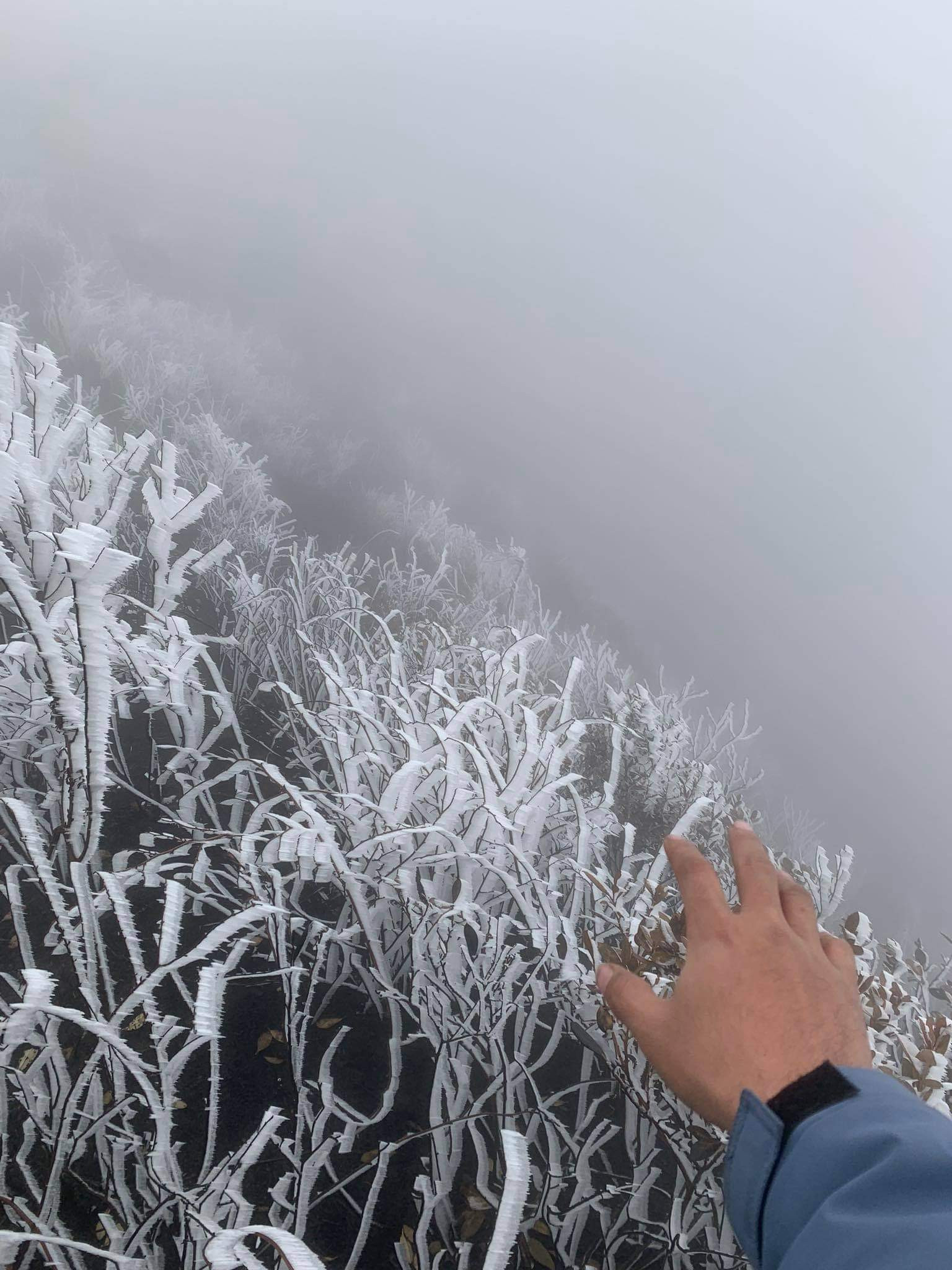 Ngày mùng 7, mùng 8 tháng Giêng Quý Mão 2023, khu vực xã Y Tý khung cảnh mờ ảo bởi sương mù và nhiệt độ giảm thấp chỉ còn 3 - 4 độ C. Trên núi Lảo Thẩn nhiệt độ giảm sâu, xuất hiện băng giá phủ trắng cây cối. Mặc dù trời rét và sương mù nhưng nhiều du khách trong và ngoài tỉnh rất thích thú được trải nghiệm tại Y Tý. Du khách leo núi Lảo Thẩn bất ngờ khi gặp cảnh băng giá trắng xóa ngay những ngày đầu năm mới. Thử cảm giác tay không chạm vào băng ở độ cao 2.800m so với mực nước biển. Bạn trẻ chụp ảnh lưu niệm với băng giá trên núi Lảo Thẩn. Từ ngày mùng 1 tết đến mùng 8 tháng Giêng, xã Y Tý đón khoảng 4.300 lượt khách tham quan, trong đó có khoảng 400 khách leo núi. Các homestay tại Y Tý khởi đầu năm mới với nhiều tín hiệu vui khi lượng khách dần tăng lên. Du khách ăn tối tại homestay Xá Hà Nhì, thôn Lao Chải, xã Y Tý ngày đầu năm mới.