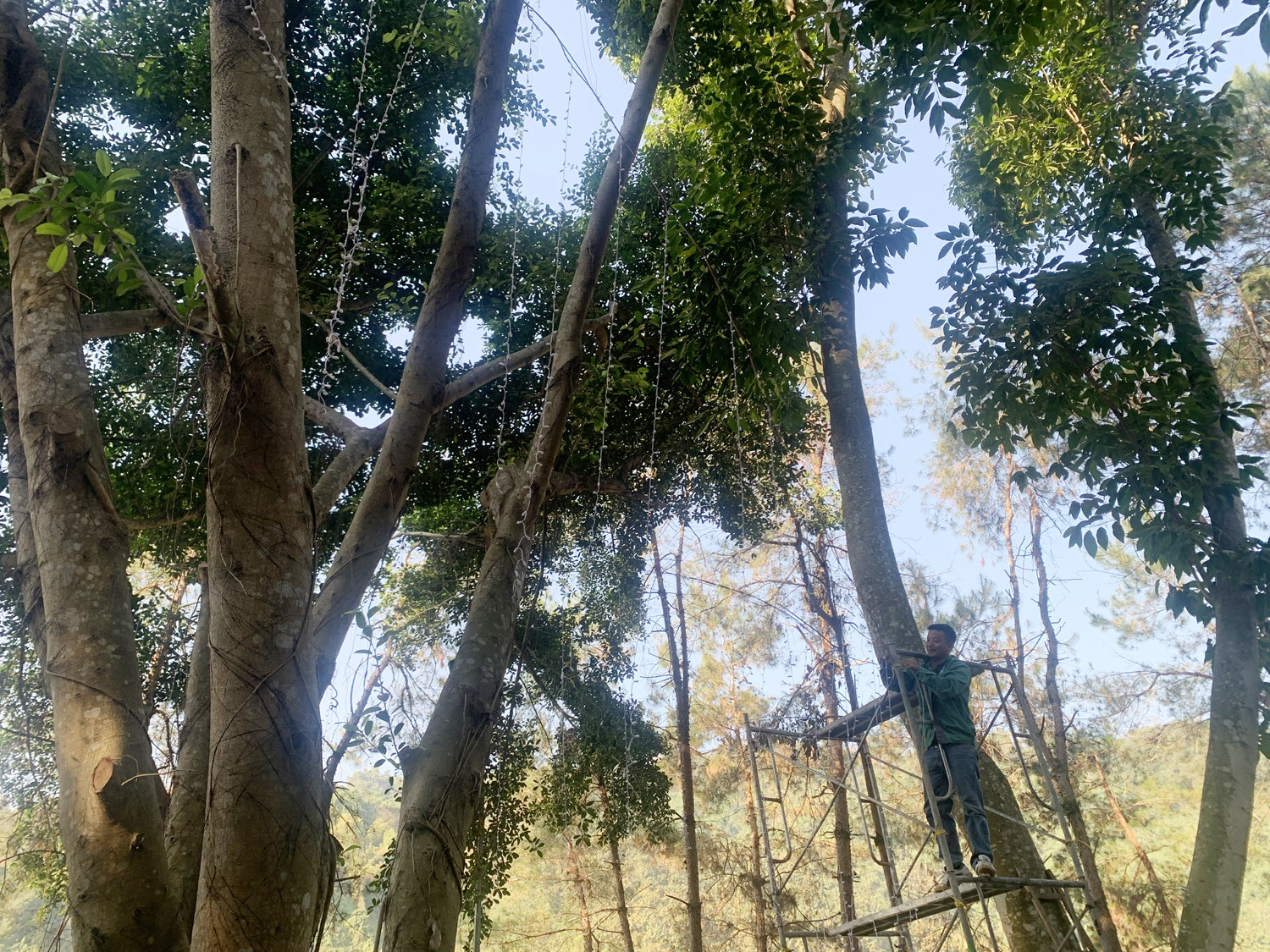 Lễ hội Đền Thượng trở lại sau 3 mùa xuân lỡ hẹn ảnh 4 Lễ hội Đền Thượng trở lại sau 3 mùa xuân lỡ hẹn ảnh 4