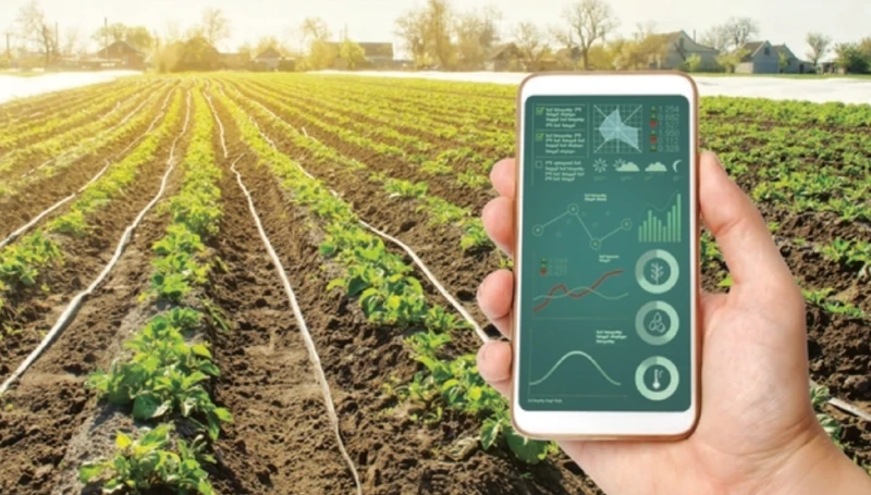 Truy xuất nguồn gốc nông sản: Đẩy mạnh số hóa, tạo ra giá trị mới ảnh 1