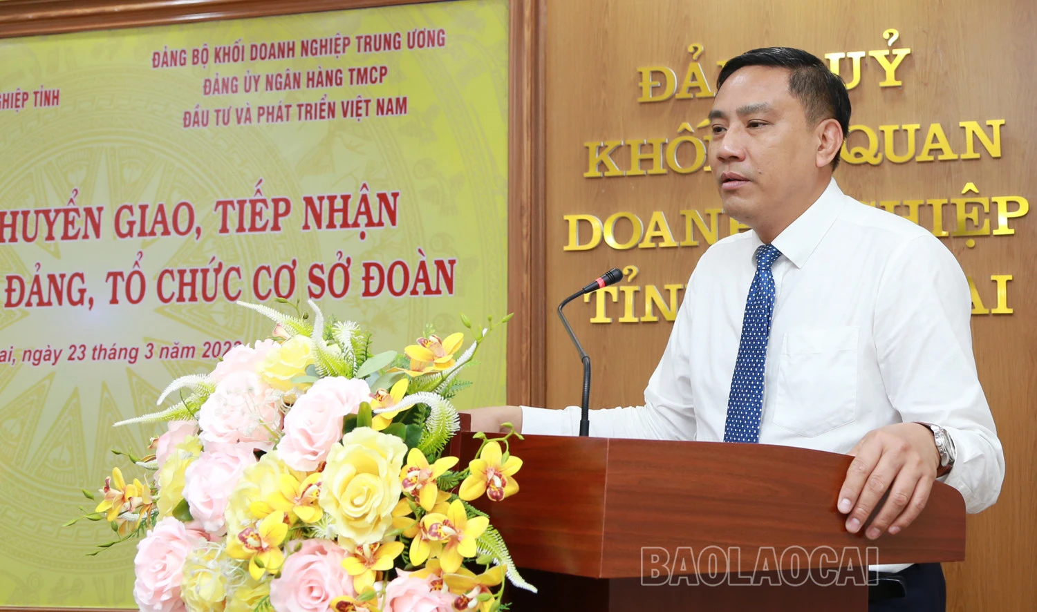 Chuyển giao 2 tổ chức đảng về Đảng bộ Ngân hàng Thương mại cổ phần Đầu tư và Phát triển Việt Nam ảnh 3